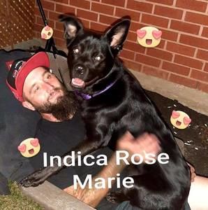 Meet your Posher, Mitchell